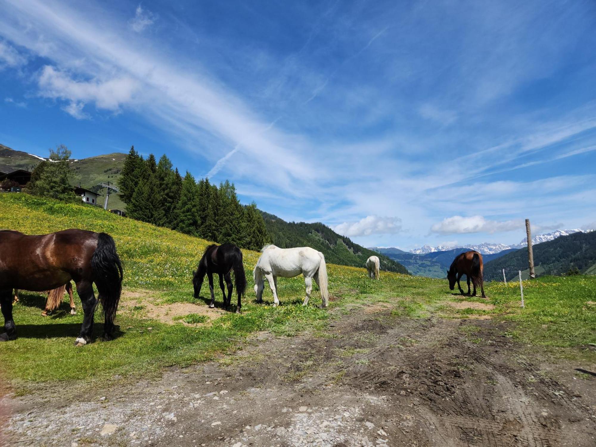 Lipphuette Top Lage Mit Traumhafter Aussicht Rauris Exterior foto